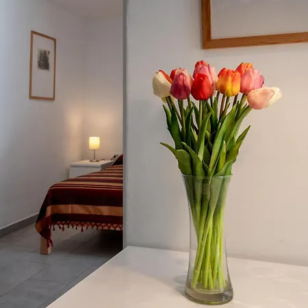 Appartement Relax House Rosemary Draga Bašćanska