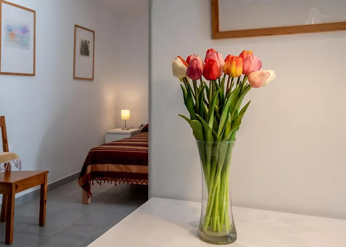 Apartmán Relax House Rosemary Draga Bašćanska